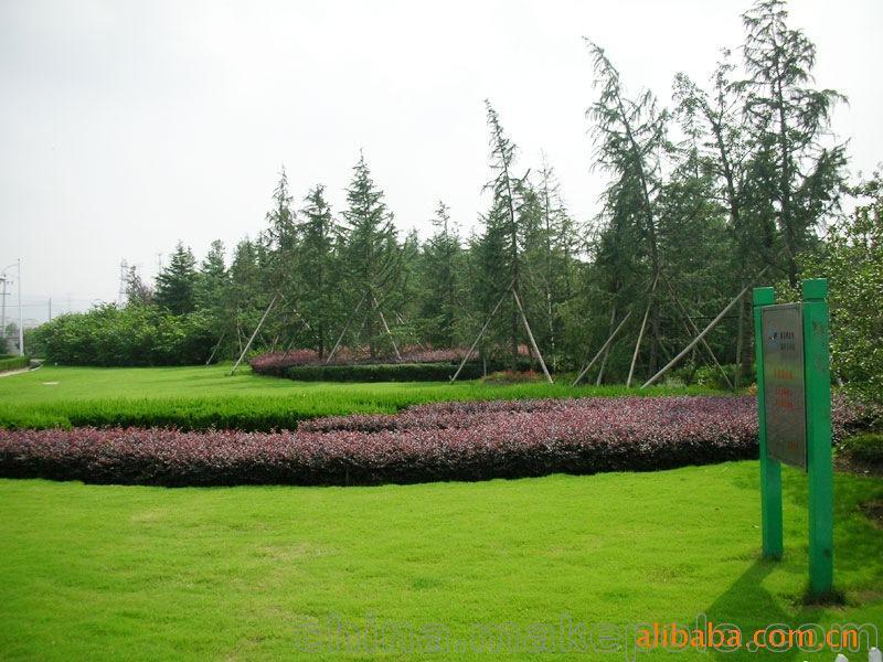 承攬綠化工程、園林施工、園林綠化工程養(yǎng)護