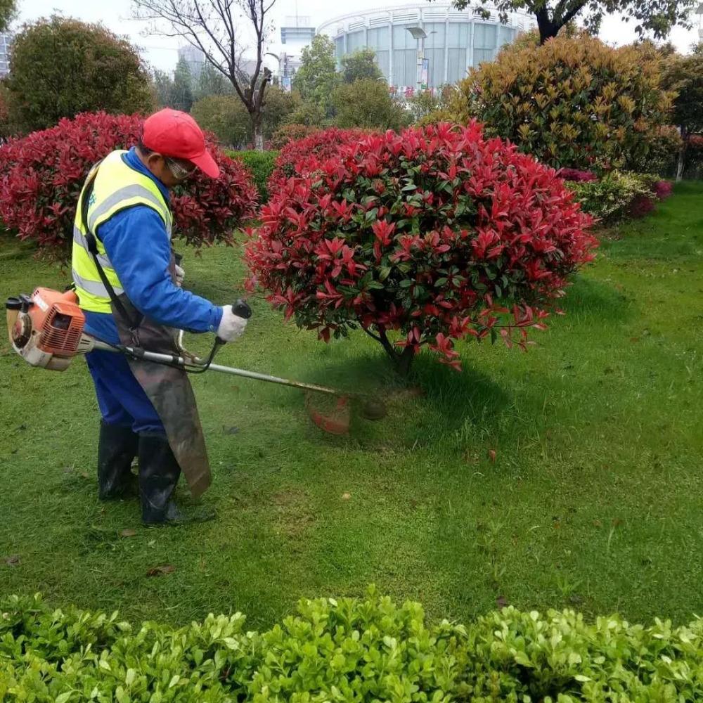 綠化養(yǎng)護(hù)-園林綠化-景觀設(shè)計(jì)-廣東怡軒園林環(huán)境工程