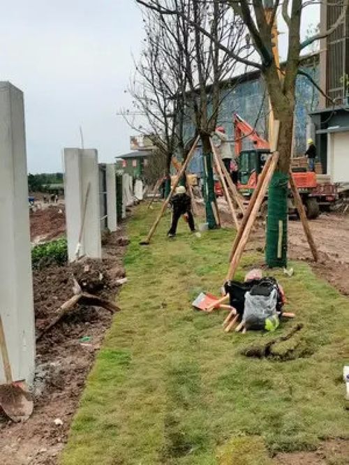 大爺89歲還為人民服務(wù),根本沒有假期 施工現(xiàn)場(chǎng)實(shí)拍 致敬平凡的你 施工現(xiàn)場(chǎng) 園林綠化工程