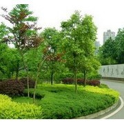 重慶市飛揚景觀園林設(shè)計建設(shè)與園林綠化工程施工